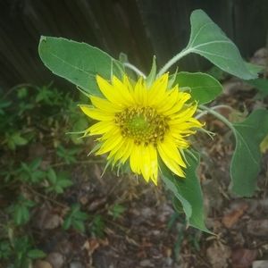 Meet your Posher, Jaime